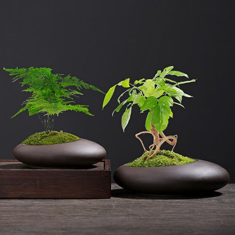 Tagine Clay Pot - Vaso de Planta Retrô de Argila