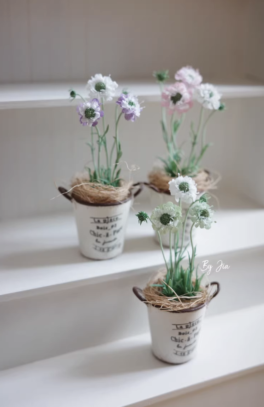 Plantas de argila em miniatura - Tagine Clay Pot avaliação e preço