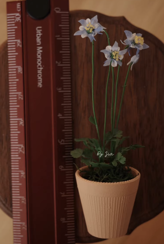 Plantas de argila em miniatura - Tagine Clay Pot avaliação e preço