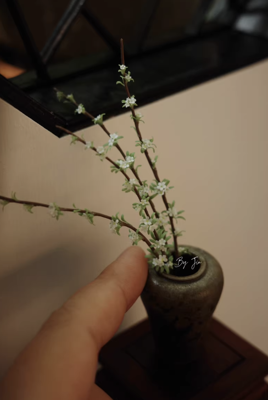 Plantas de argila em miniatura - Tagine Clay Pot avaliação e preço