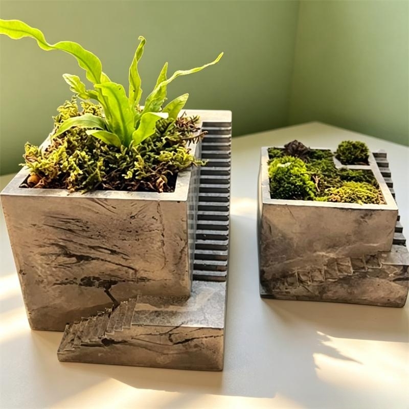 Vaso de plantas suculentas em  - Tagine Clay Pot avaliação e preço