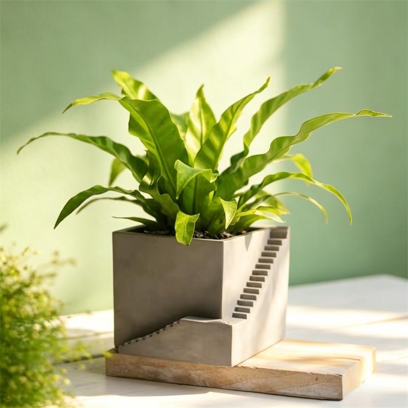 Vaso de plantas suculentas em  - Tagine Clay Pot avaliação e preço