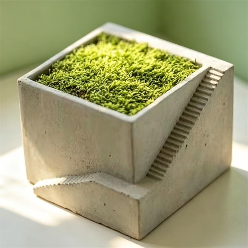 Vaso de plantas suculentas em  - Tagine Clay Pot avaliação e preço