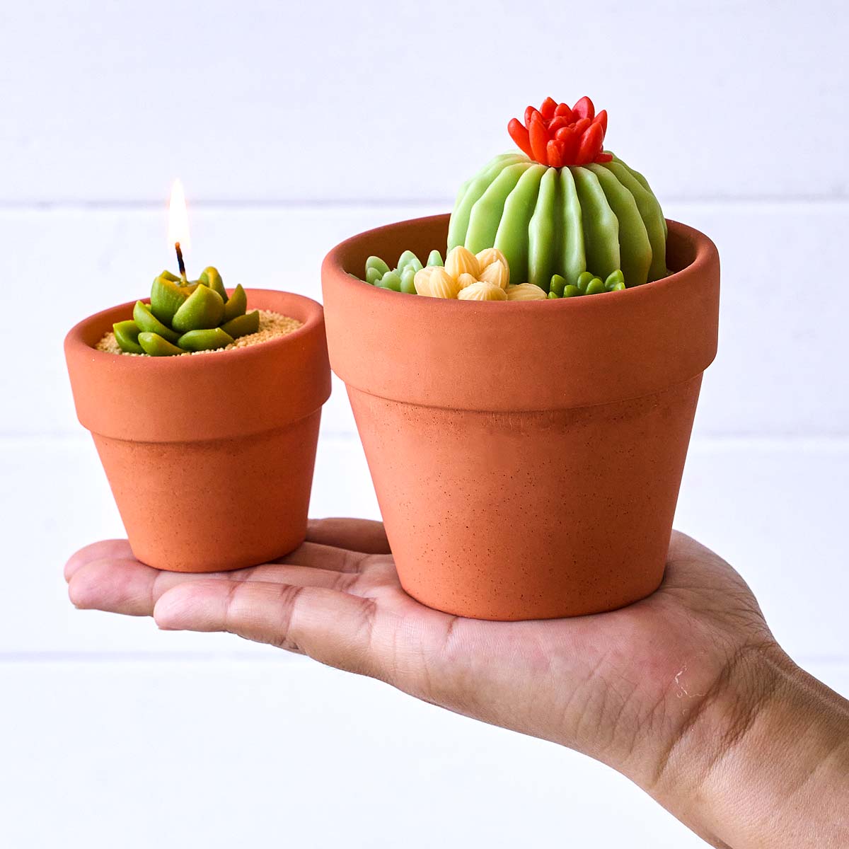 Molde de Silicone 3D Nórdico p - Tagine Clay Pot avaliação e preço