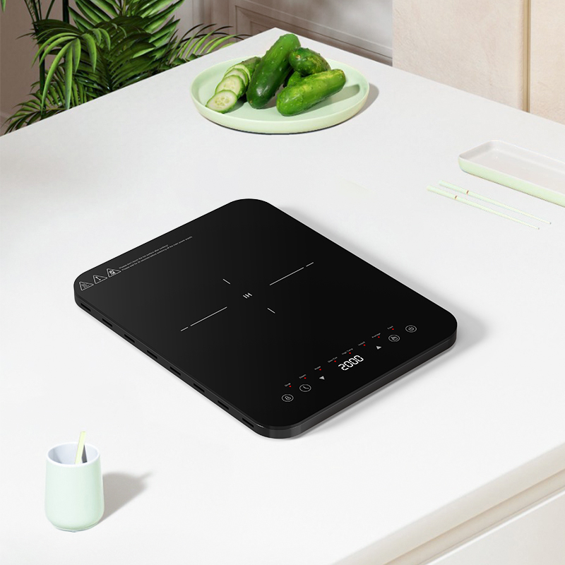 Zonas de cozedura por indução  - Hot Pot Portable Dual avaliação e preço