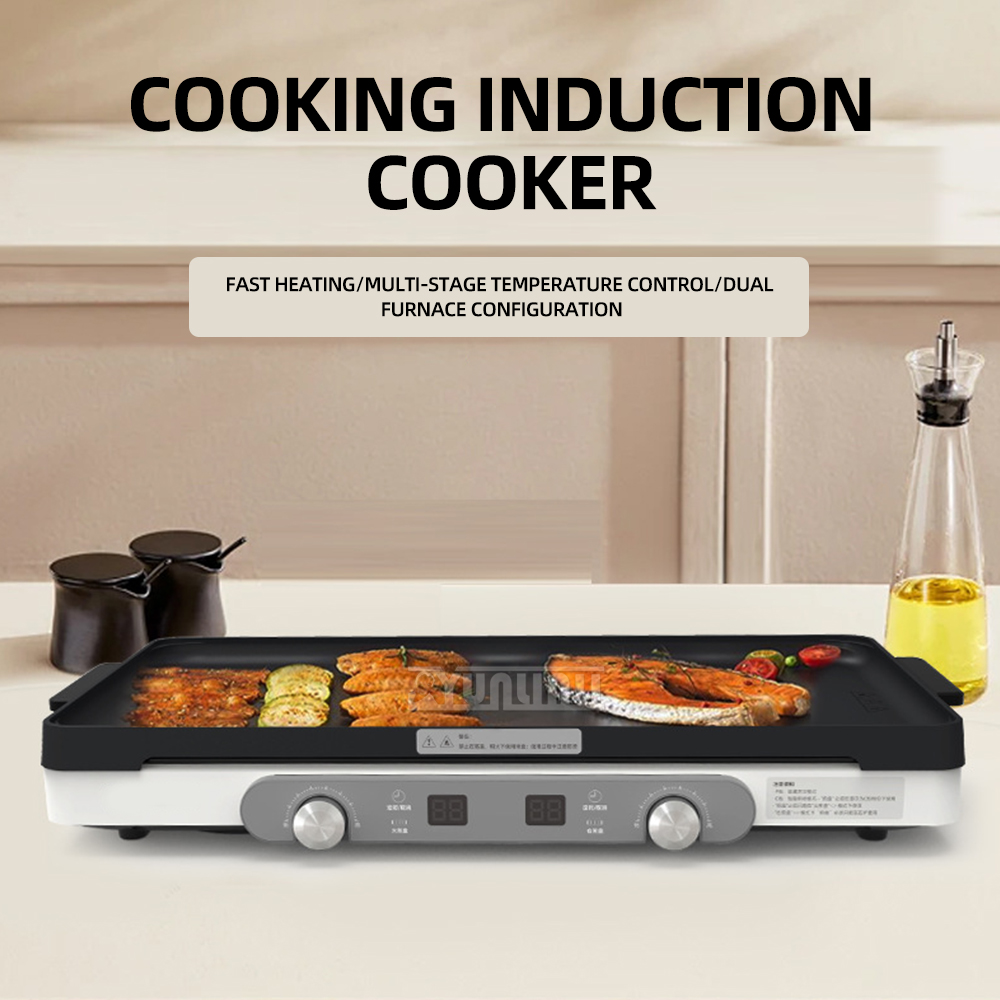 Fogão de indução doméstico, fo - Hot Pot Portable Dual avaliação e preço