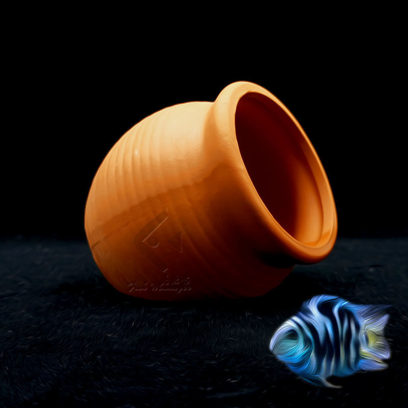 Aquário mini tanque de cerâmic - Tagine Clay Pot avaliação e preço